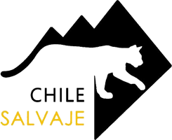 Chile Salvaje